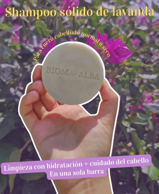 Shampoo sólido de lavanda